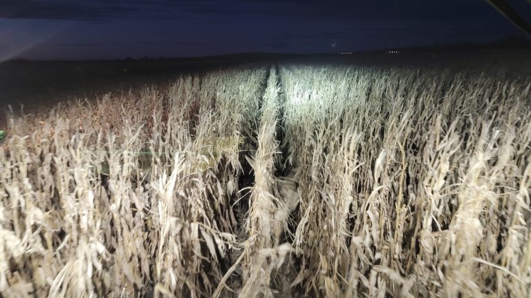All Aboard Harvest