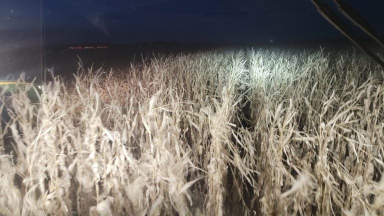 All Aboard Harvest