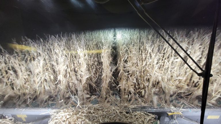 All Aboard Harvest