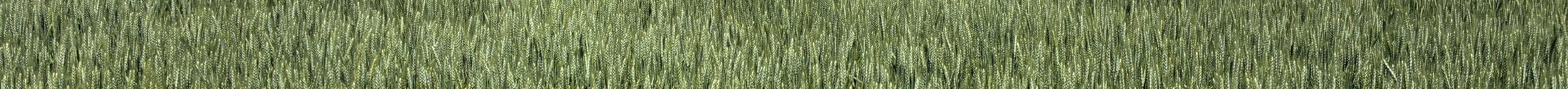 Journal photo by Dave Bergmeier.