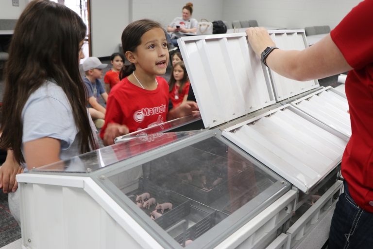 Longfellow Elementary second-grader Carmella Lopez and her friends learned more about swine and how they are raised at the swine session during the AgSplosion Field Day in Scottsbluff. (Photo courtesy of Chabella Guzman.)