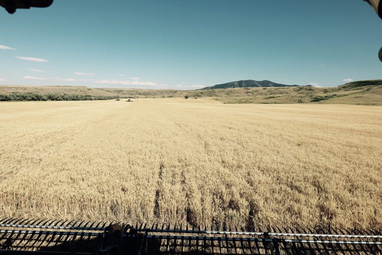 All Aboard Harvest