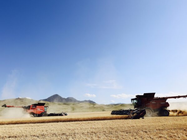 Finishing up an 80 acre field at the foot of the mountains by Highwood, Montana.