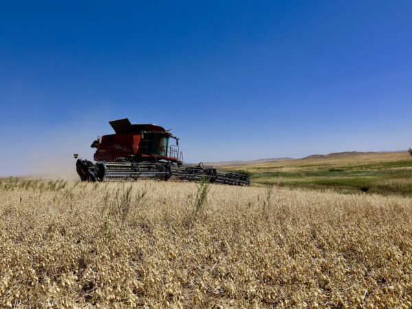 You can see how the headers really flex to cover the ground. 