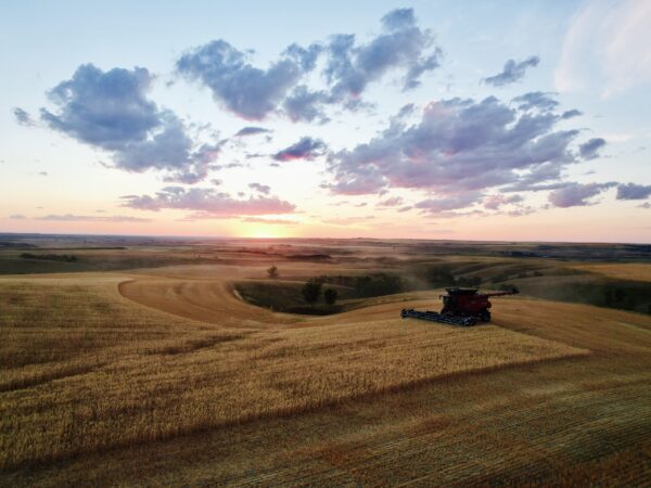 The sunset this evening in Plentywood, Montana was just amazing. It was a beautiful night to cut. Photo by Paul Paplow.