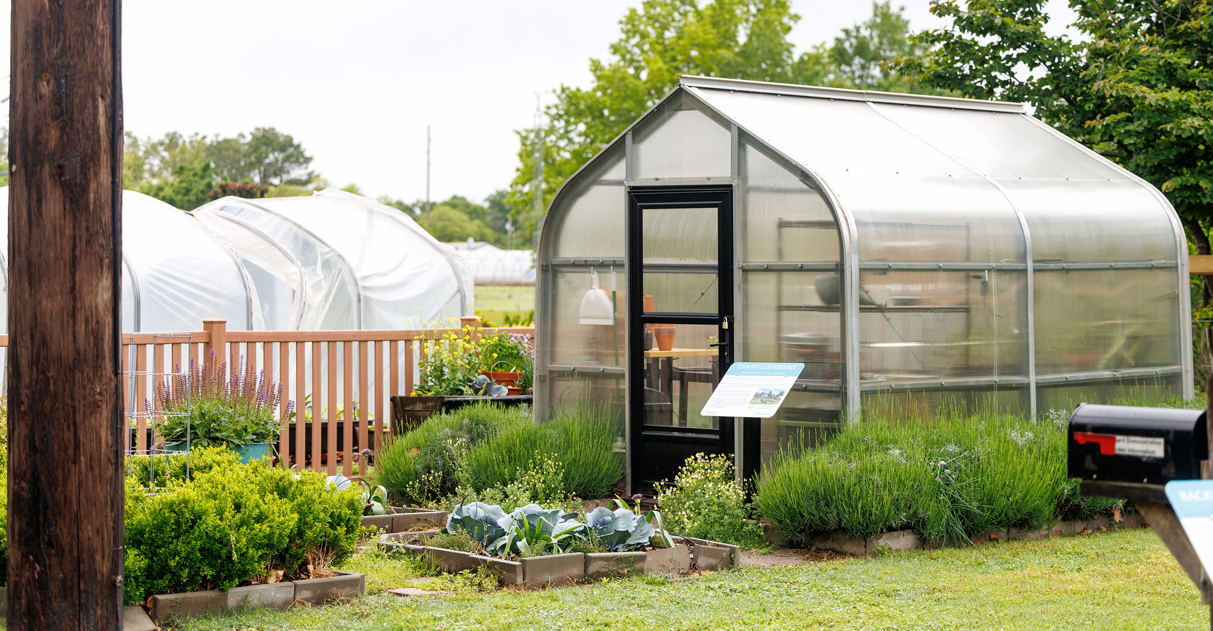 A greenhouse is the perfect place to nurture plants but resist the urge to use it as a storage shed for all garden-related tools and supplies. (Photo by Mitchell Alcala, OSU Agriculture)