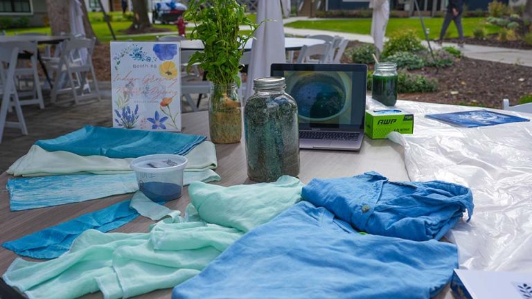 Utah State University Extension is bringing traditional indigo dyeing back into home gardens with a comprehensive three-part guide to growing, extracting, and dyeing with Japanese indigo. (USU Extension)