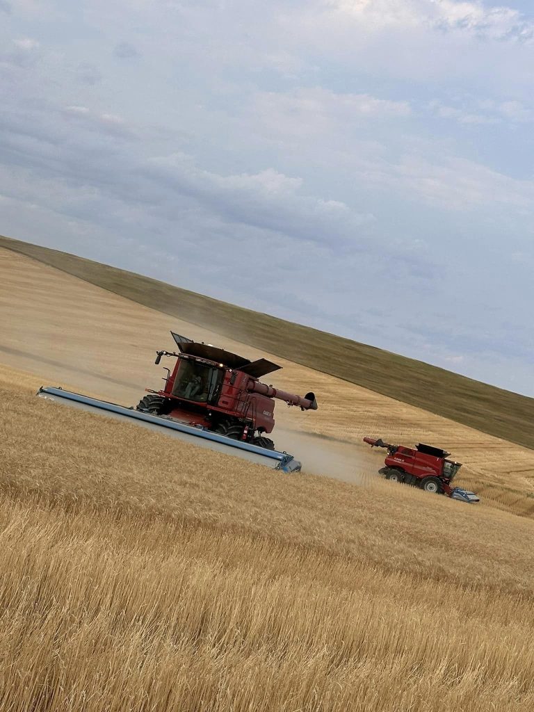 All Aboard Harvest