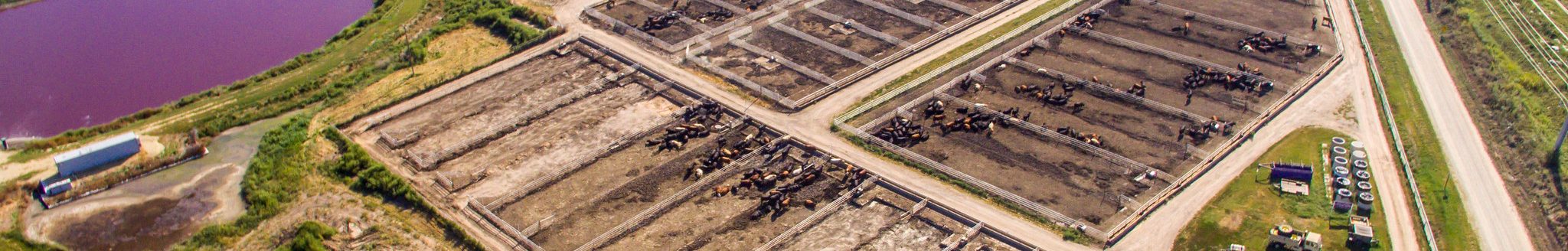 Drones capture thermal images of cattle facilities. (K-State Research and Extension news service)