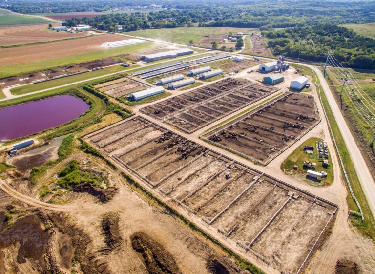 Drones capture thermal images of cattle facilities. (K-State Research and Extension news service)