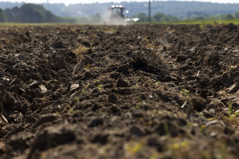 SOIL FERTILITY — The annual Wayne E. Sabbe Arkansas Soil Fertility Studies publication guides nutrient management recommendations to improve soil health and crop yield. (U of A System Division of Agriculture photo)