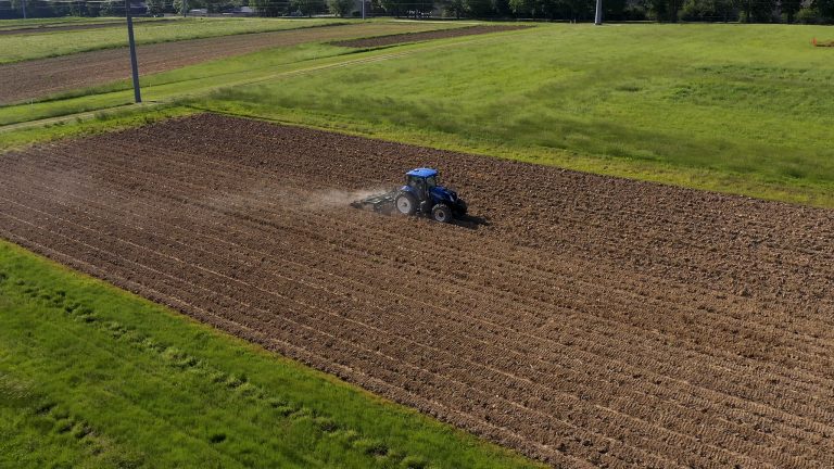 SOIL FERTILITY — The annual Wayne E. Sabbe Arkansas Soil Fertility Studies publication guides nutrient management recommendations to improve soil health and crop yield. (U of A System Division of Agriculture photo)