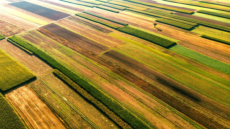 Farm fields cultivated in vibrant colors. Aerial drone view. (Adobe Stock │ #297599496 - marcin jucha)