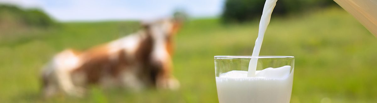Milk pouring into a glass. (Adobe Stock │ #354060824 - alter_photo)