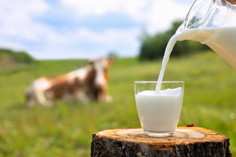 Milk pouring into a glass. (Adobe Stock │ #354060824 - alter_photo)