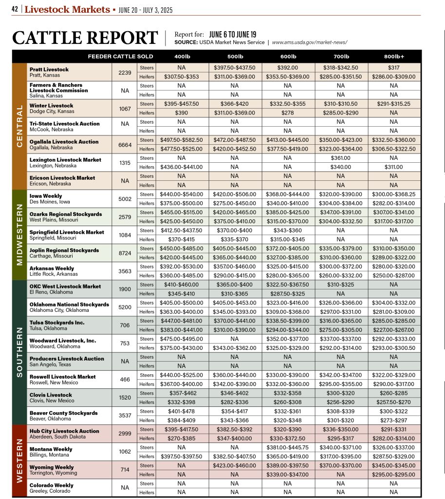 Cattle Report June 20th