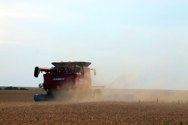 Wheat harvest at the Scott Farm in Clark County, Kansas June 2016. (Journal photo by Kylene Scott.)