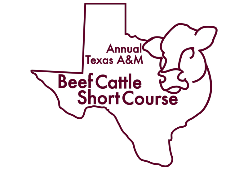 Texas A&M Beef Cattle Short Course