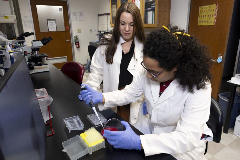 Danielle Graham, left, works alongside her advisee Karen Echevarria, a lab assistant and undergraduate student at the University of Arkansas majoring in animal science. (U of A System Division of Agriculture photo)