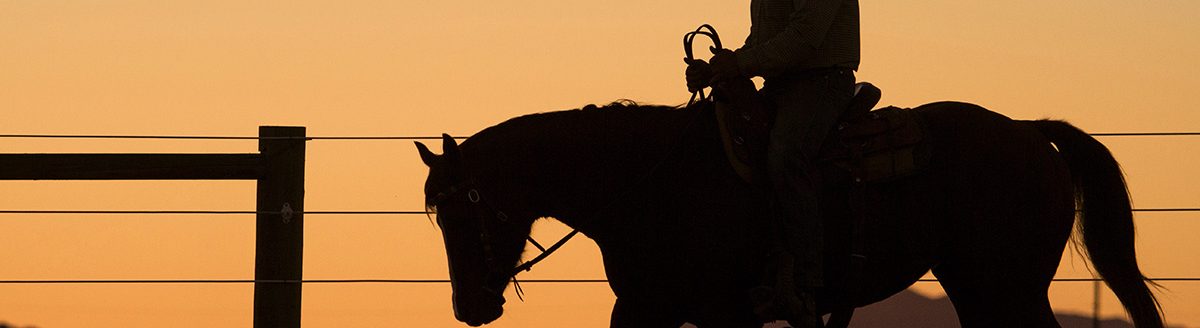 Silhouette of man riding horse at sunset. (Adobe Stock │ #227529046 - Cavan for Adobe)