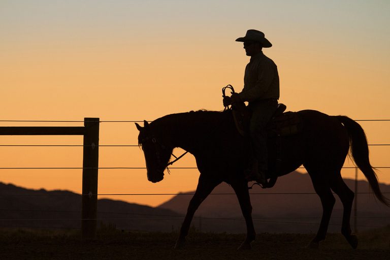 Silhouette of man riding horse at sunset. (Adobe Stock │ #227529046 - Cavan for Adobe)