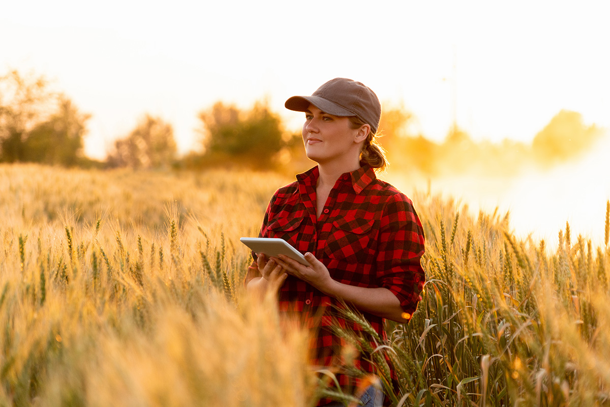 A woman farmer examines the field of cereals and sends data to the cloud from the tablet. Smart farming and digital agriculture. (Adobe Stock │ #318253679 - scharfsinn86)