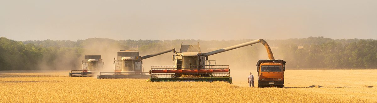 Combine harvester harvests wheat. (Adobe Stock │ #602027180 - scharfsinn86)