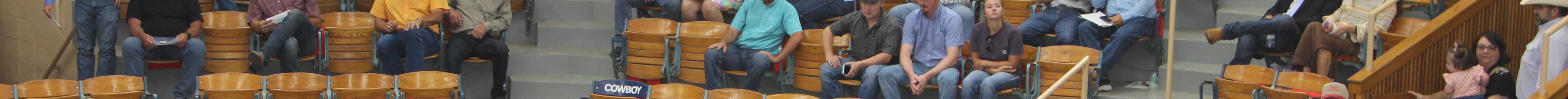 King of the Ring Sale was July 26 at Winter LIvestock, Dodge City, Kansas. (Journal photo by Dave Bergmeier.)