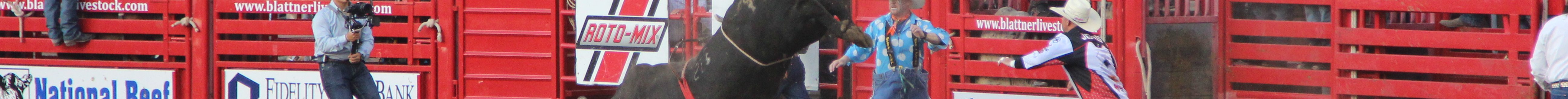 Bull-riding competition during the July 30 Roundup Rodeo. (Journal photo by Dave Bergmeier.)