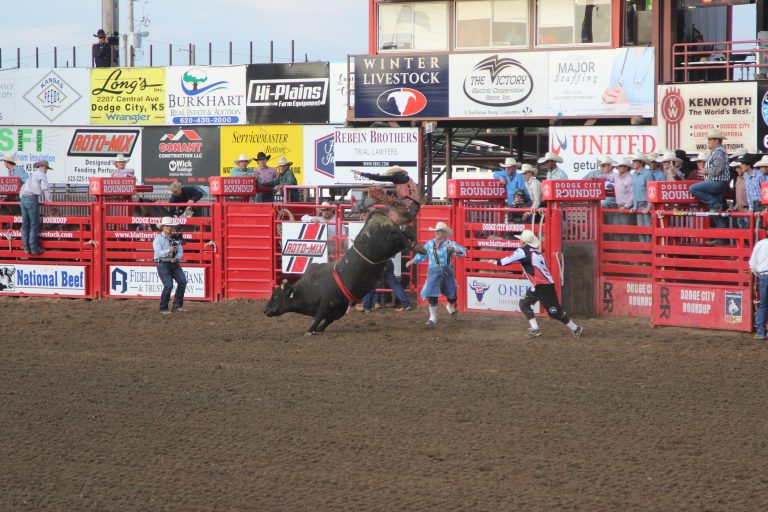 Bull-riding competition during the July 30 Roundup Rodeo. (Journal photo by Dave Bergmeier.)