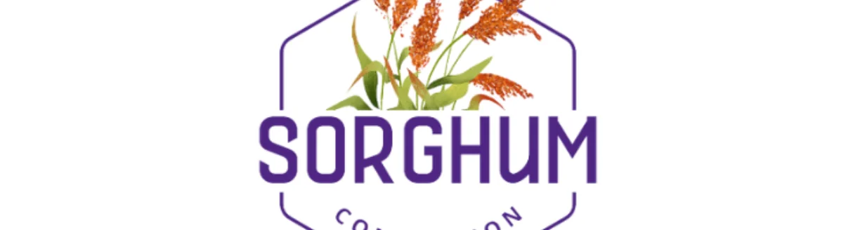 Sorghum Connection