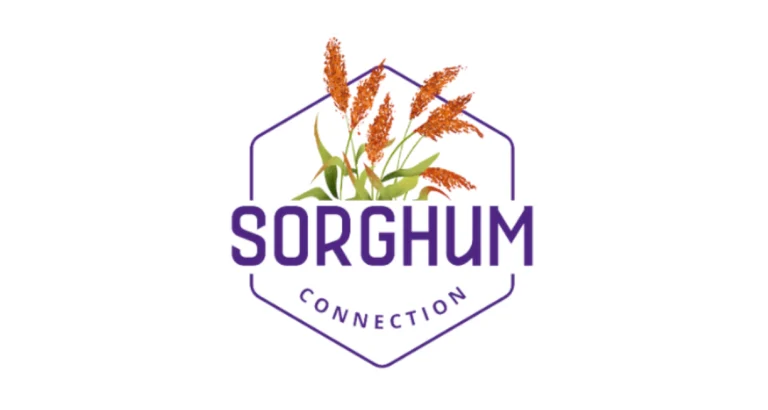 Sorghum Connection