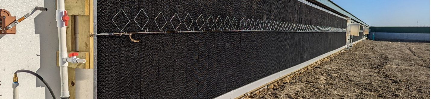 Cool cell on a swine barn to help improve in barn conditions and pig comfort. (Photo: Iowa State University Extension and Outreach)