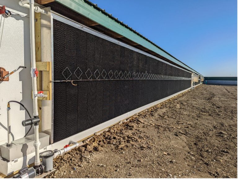 Cool cell on a swine barn to help improve in barn conditions and pig comfort. (Photo: Iowa State University Extension and Outreach)