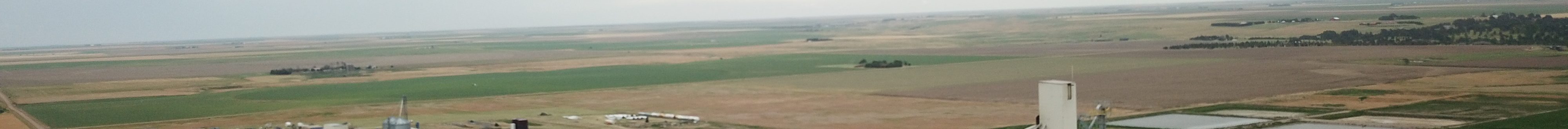 Scoular's crush facility near Goodland, Kansas.(Courtesy photo.)