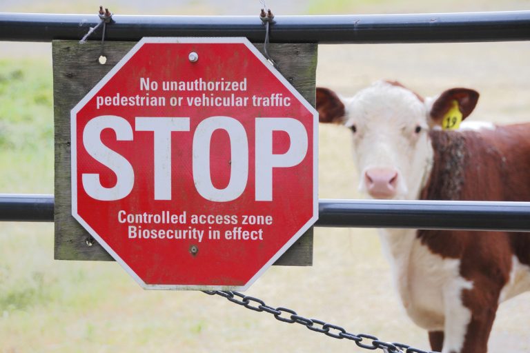 A sign is posted in an attempt to keep germs and disease infecting farm animals. (iStock │ #531973270 - Modfos)