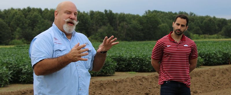 Attendees of the 2025 Soybean College will have the opportunity to partake in hands-on demonstrations that will address many of the production challenges Arkansas soybean producers are facing today. (Division of Agriculture photo.)