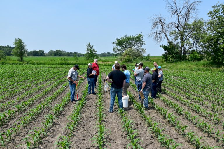 NRCS staff gather for Soil Health and Sustainability on June 10, 2025, near Ainsworth, IA. (Jason Johnson - Iowa NRCS)