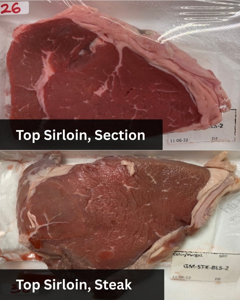 STEAK OUT — A comparison of top sirloin steaks when frozen in a large section and then cut after thawed, top, and a steak that was frozen individually as a pre-cut steak, bottom. (U of A System Division of Agriculture photo)