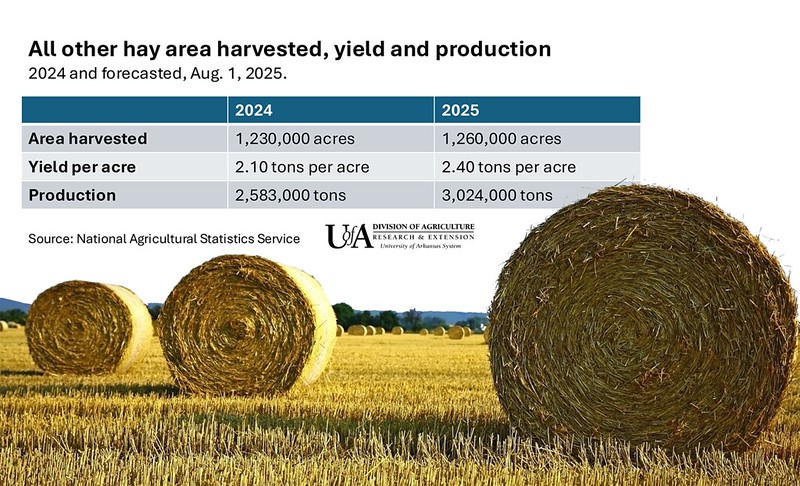 Chart showing August 2025 hay production estimates by USDA. (U of A System Division of Agriculture image)