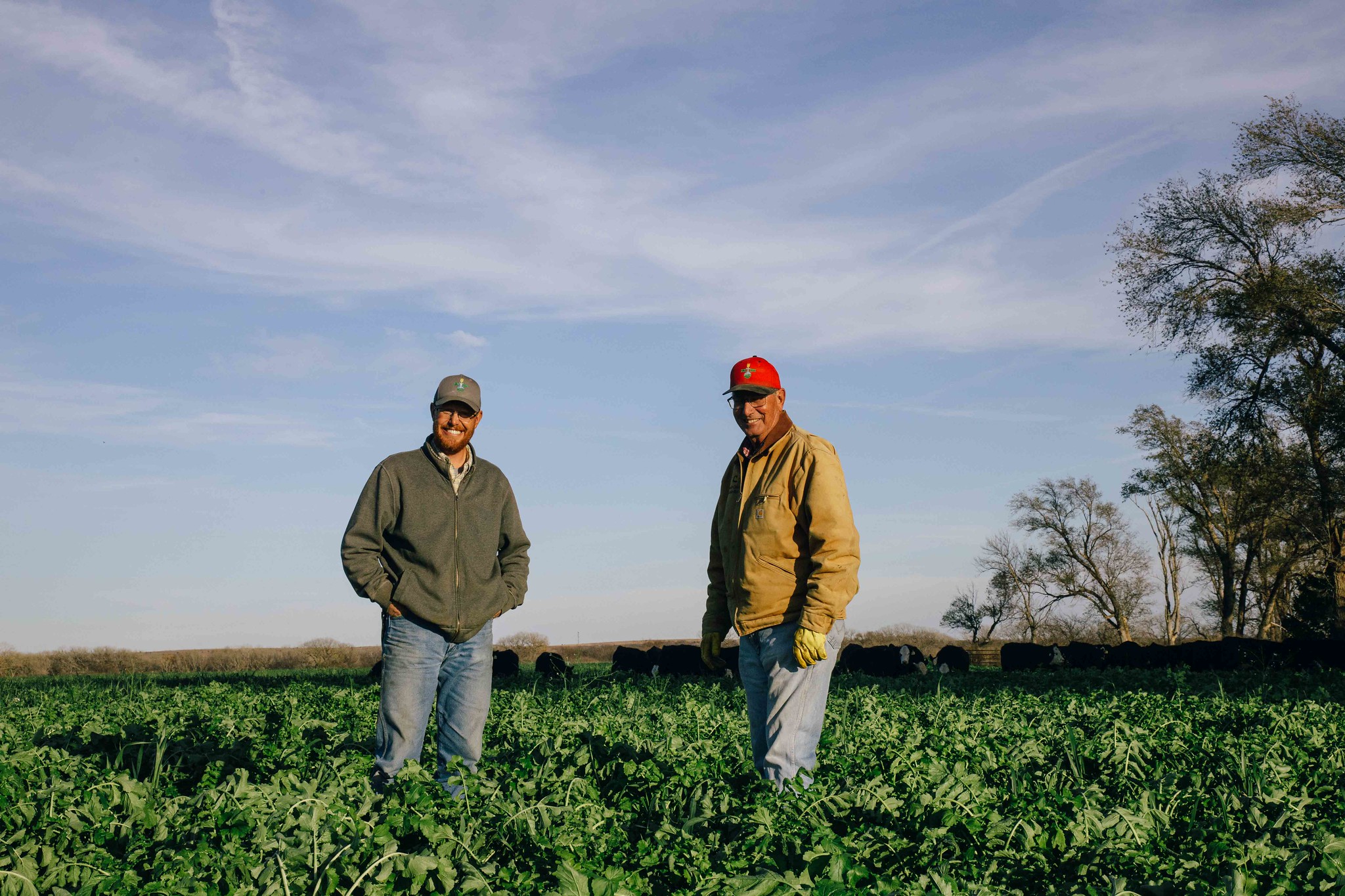 Jeremy Kootz (left) and Charlie Kootz incorporate cover crops to boost soil health and feed livestock on their central Kansas farm. (K-State Research and Extension)