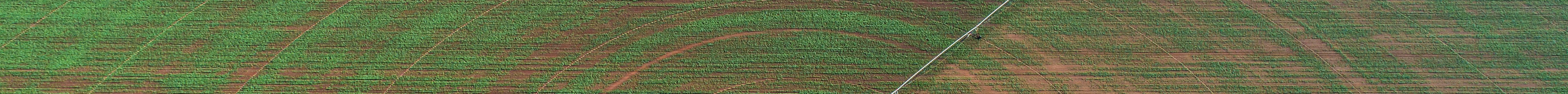 an agricultural irrigation system on sunny summer day. An aerial view of a center pivot sprinkler system. (Photo courtesy of AdobeStock.)
