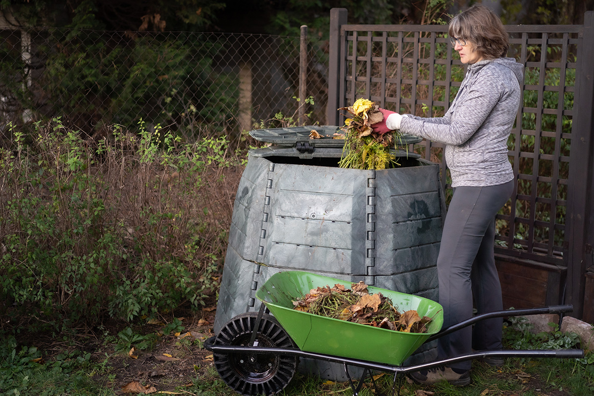 Woman throwing garden waste from wheelbarrow into compost bin in garden. (Adobe Stock │ #391022887 - hopsalka)