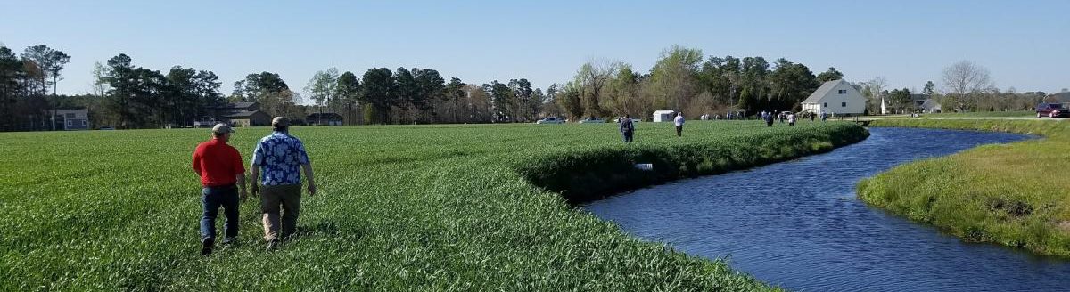 Drainage, water recycling pond. (South Dakota State University Extension)