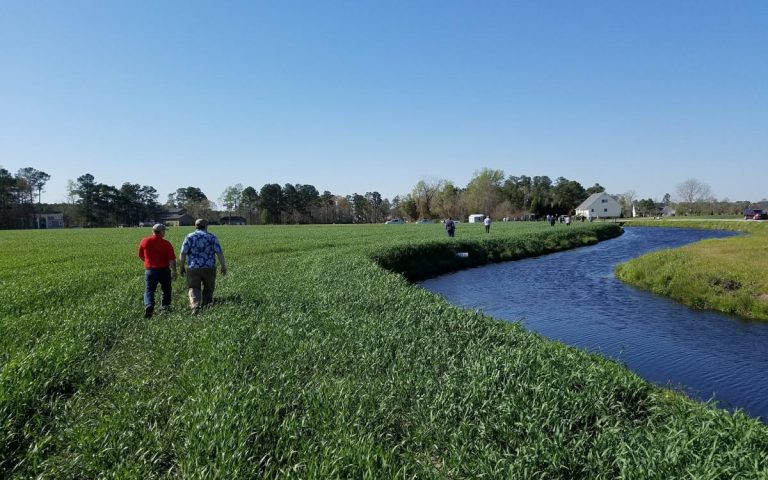 Drainage, water recycling pond. (South Dakota State University Extension)