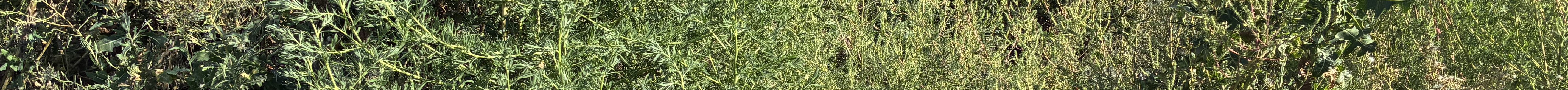 Journal photo by Dave Bergmeier.