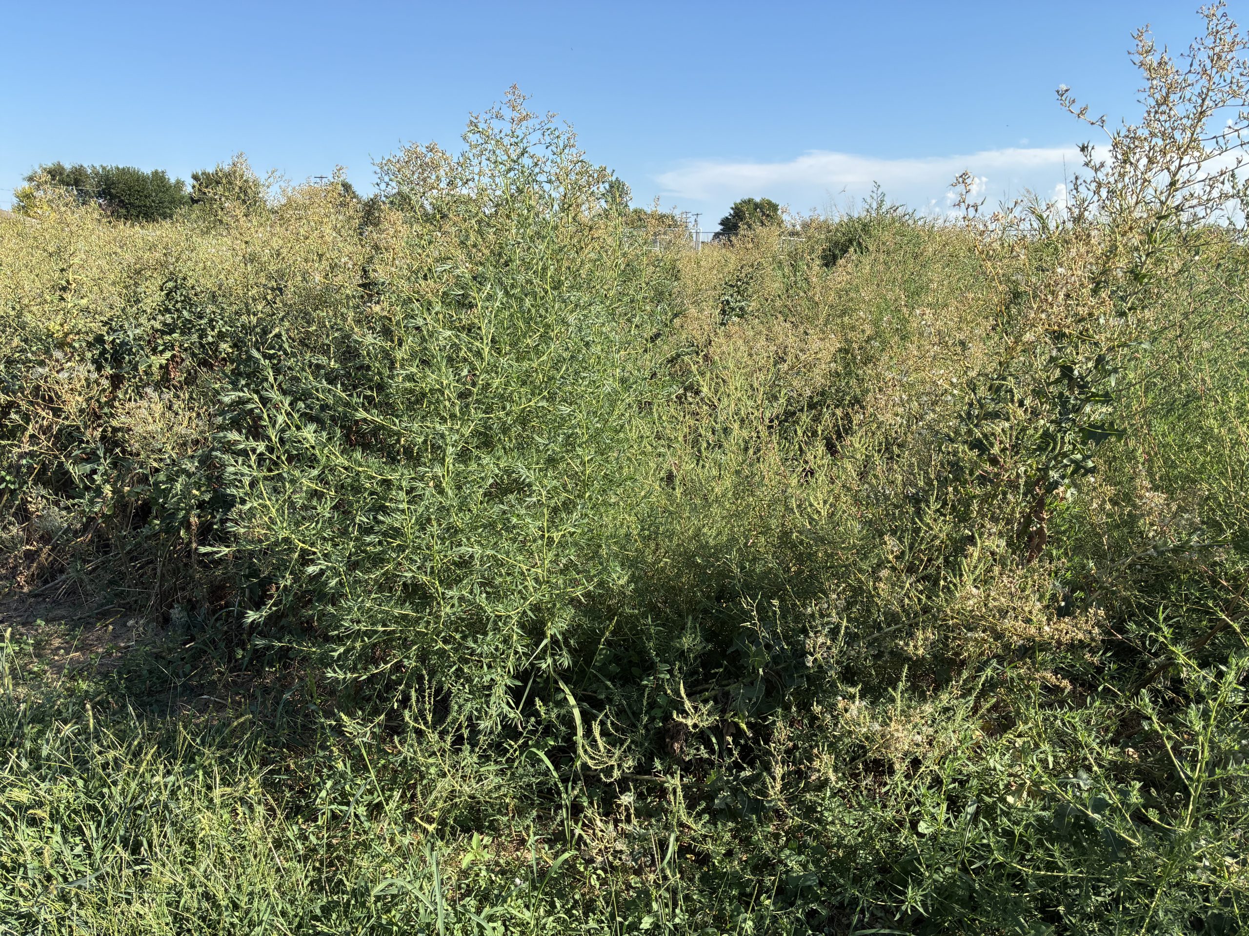 Journal photo by Dave Bergmeier.