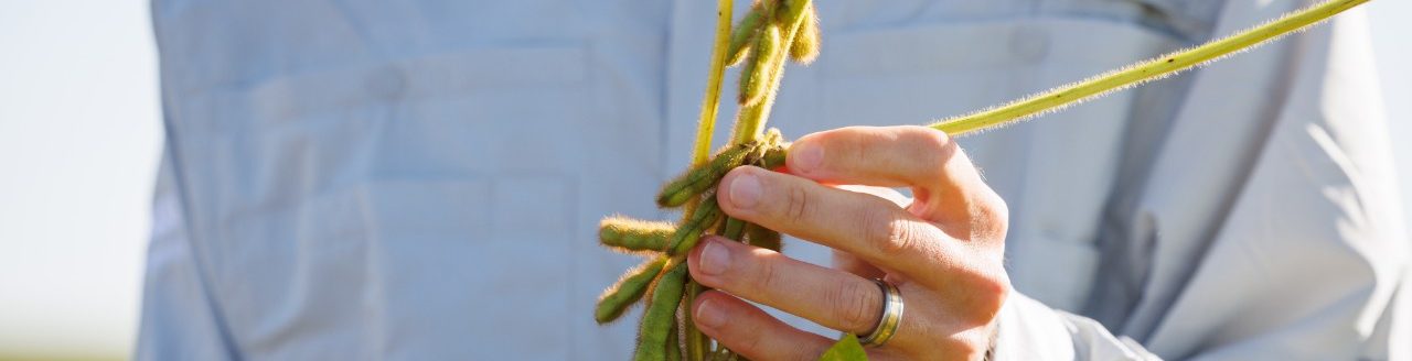 (Photo courtesy of BASF)