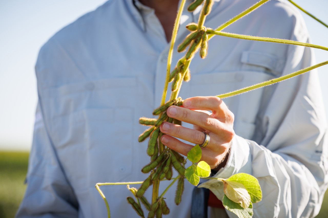 (Photo courtesy of BASF)