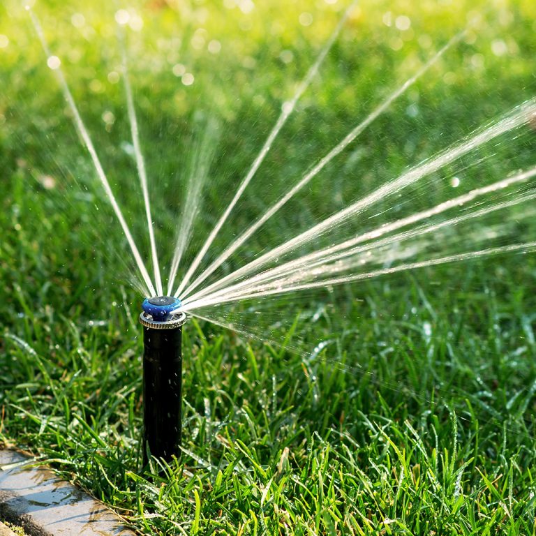 The ERIC lawn irrigation system can make watering your lawn more efficient, reduce the cost of your monthly water bill and help conserve critical natural resources. (Texas A&M AgriLife)